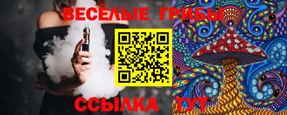 Волжский  Псилоцибиновые грибы Cubensis  Вход с VPN 